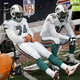 Illustration for article titled Fun Time In Dolphins Land